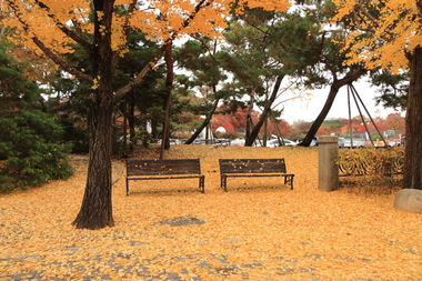 고흥군, '제8회 나로도 청정 수산물축제' 6월 13일 개막